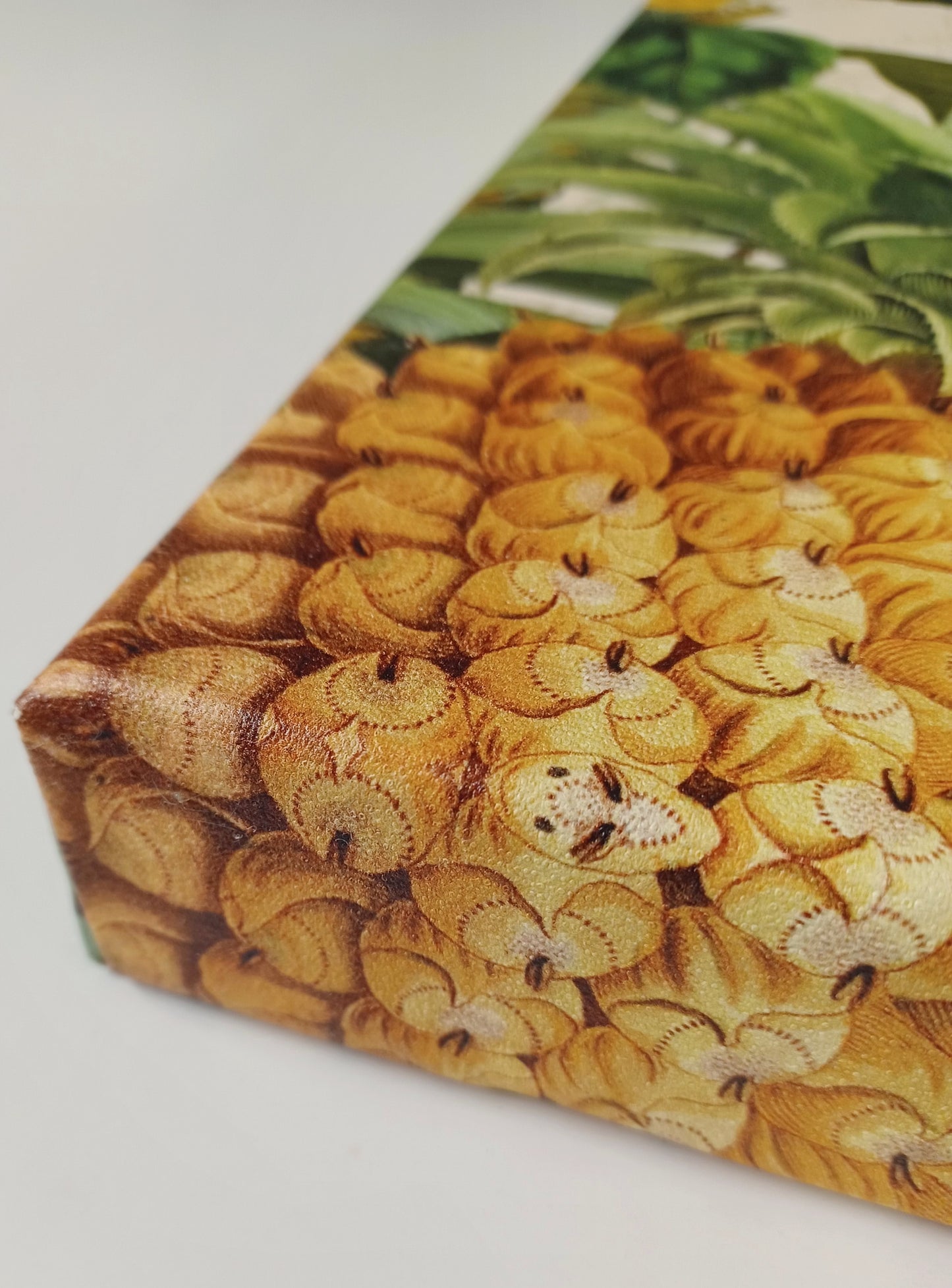 CANVAS - 70X100 cm - Parrot Paradise I - Pertiet Katie