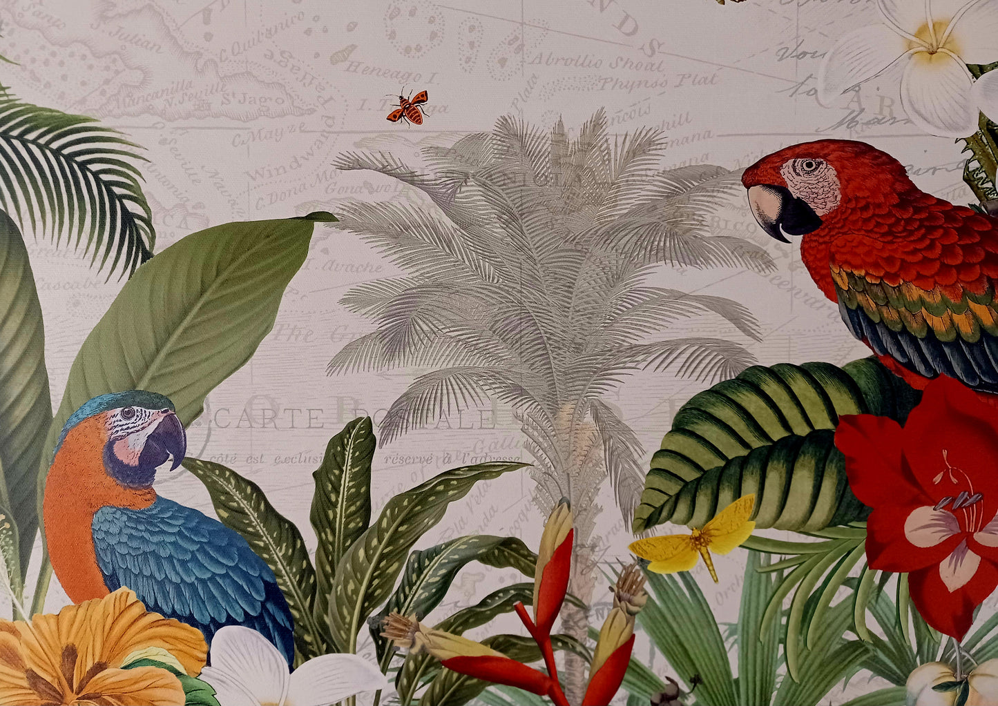 CANVAS - 70X100 cm - Parrot Paradise I - Pertiet Katie