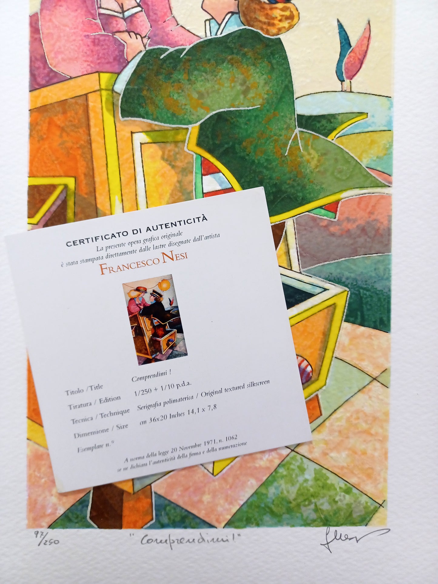 FRANCESCO NESI - Comprendimi! - Serigrafia polimaterica - 20X36 cm - Tiratura limitata